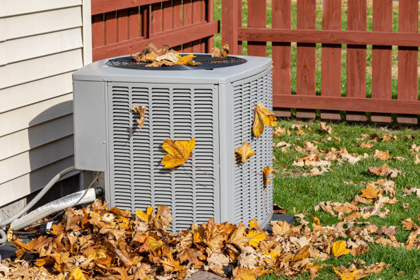 Best HVAC tune-up services  in Island Lake, IL